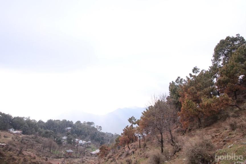 Dlx Stay In Naddi Dharamshala Exterior photo